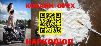 индика Усть-Джегута