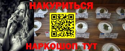индика Усть-Джегута