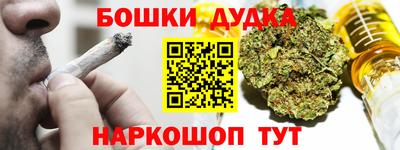 индика Усть-Джегута
