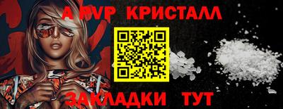 индика Усть-Джегута