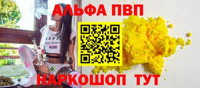 индика Усть-Джегута
