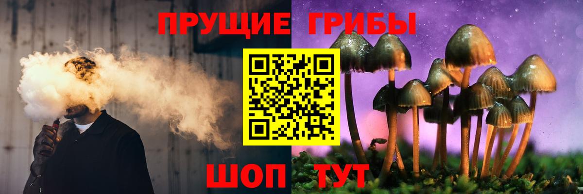 Псилоцибиновые грибы GOLDEN TEACHER  хочу   Скопин  Вход с VPN  Псилоцибиновые грибы GOLDEN TEACHER 